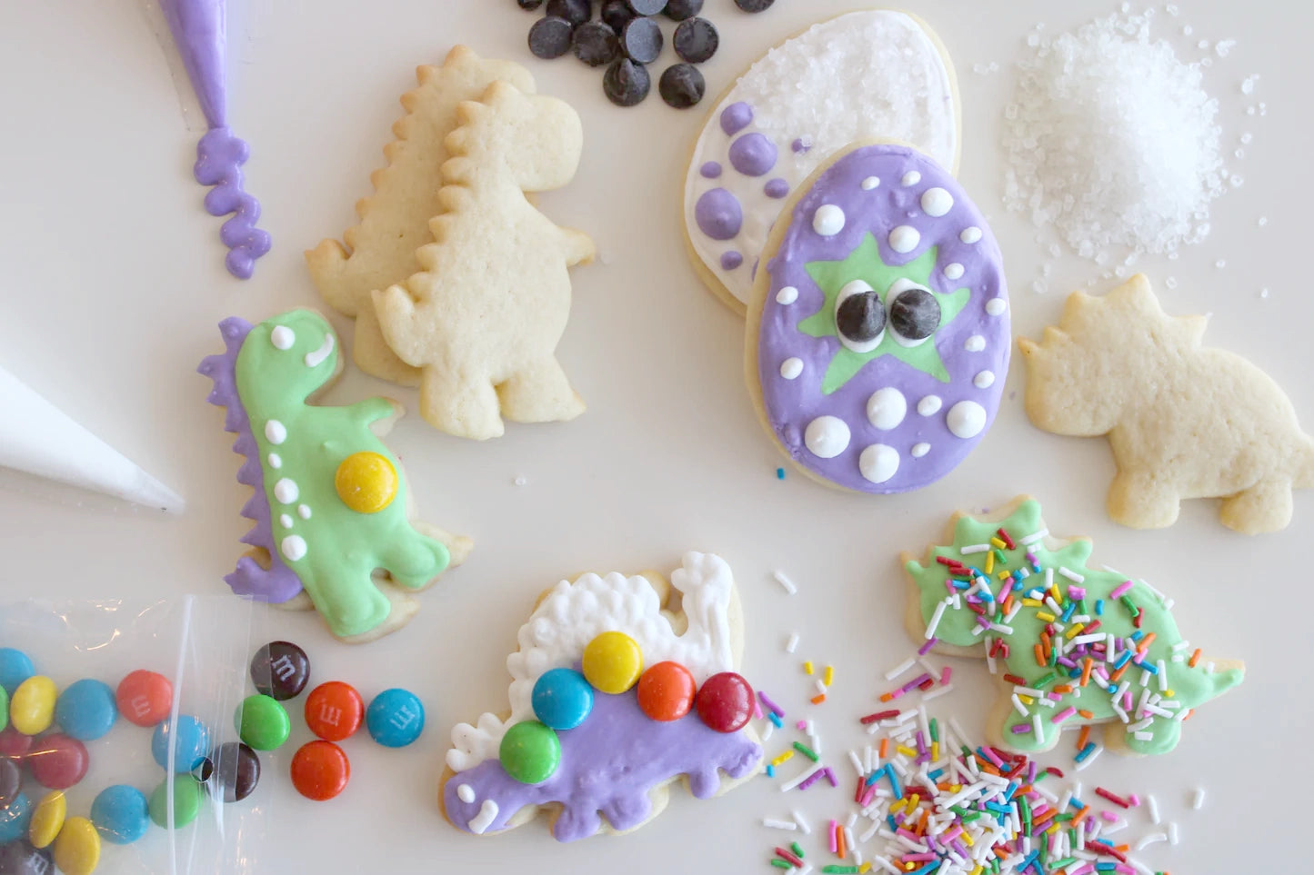 Dinosaur Cookie Decorating Kit
