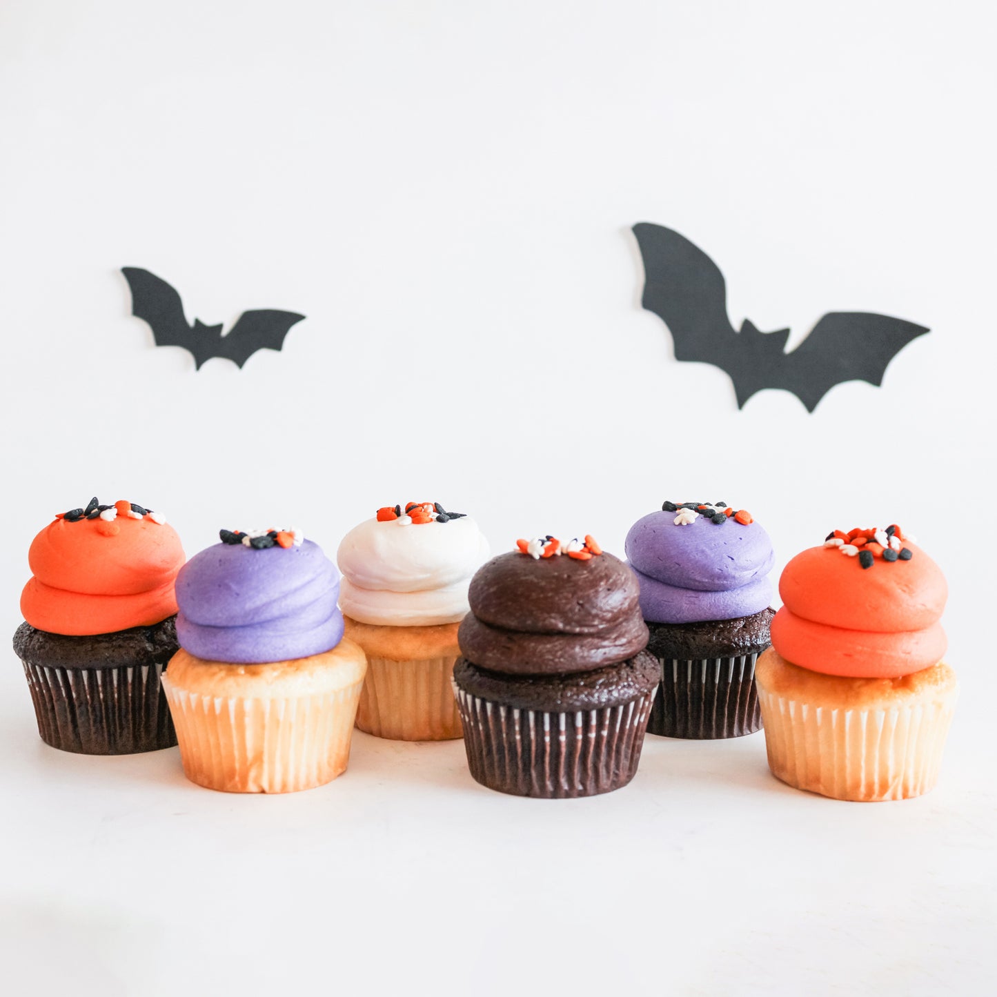 6 Large Halloween Chocolate and Vanilla Cupcakes