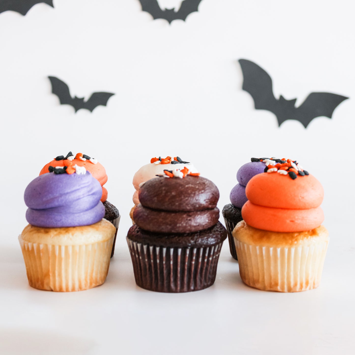 6 Large Halloween Chocolate and Vanilla Cupcakes