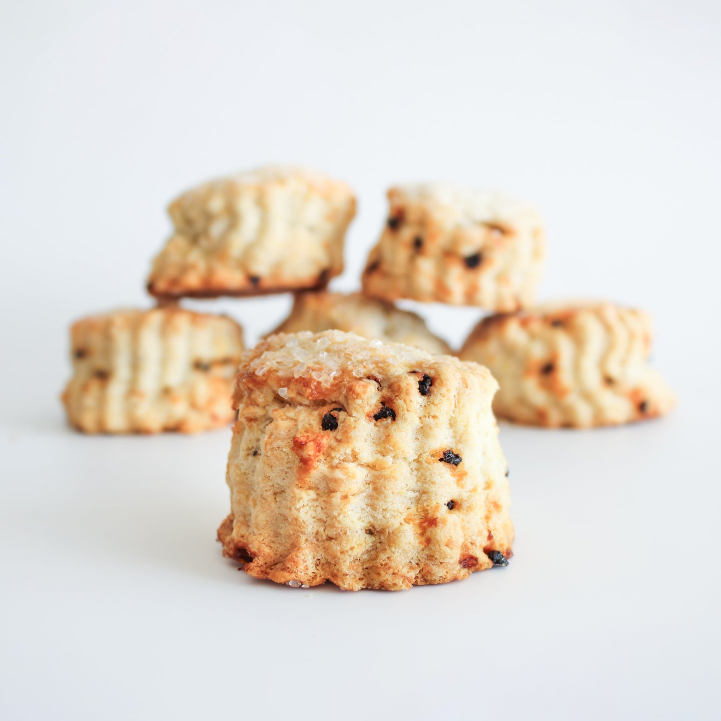 6 Lemon Currant Scones