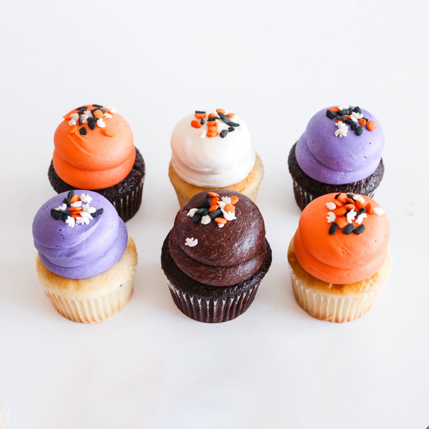 6 Mini Halloween Chocolate and Vanilla Cupcakes