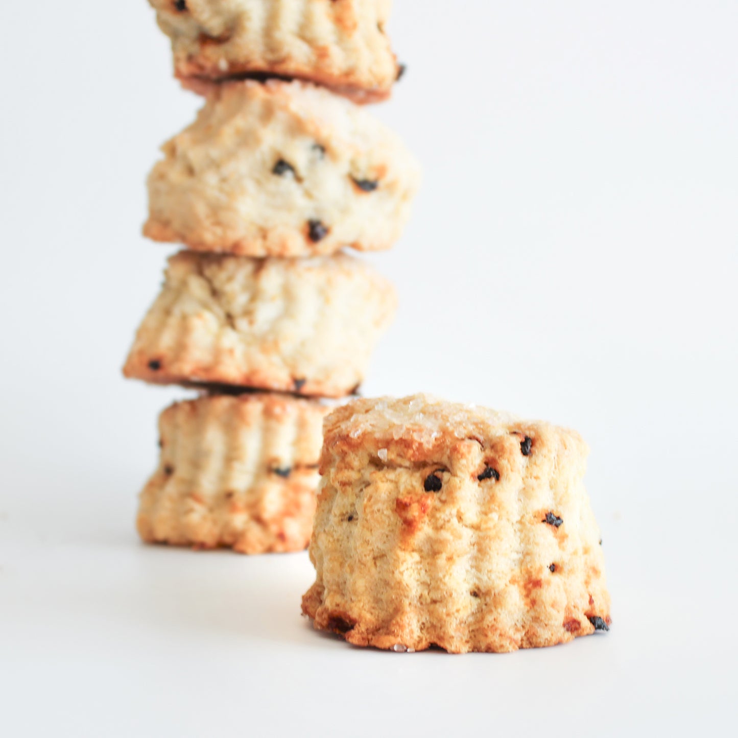 6 Lemon Currant Scones