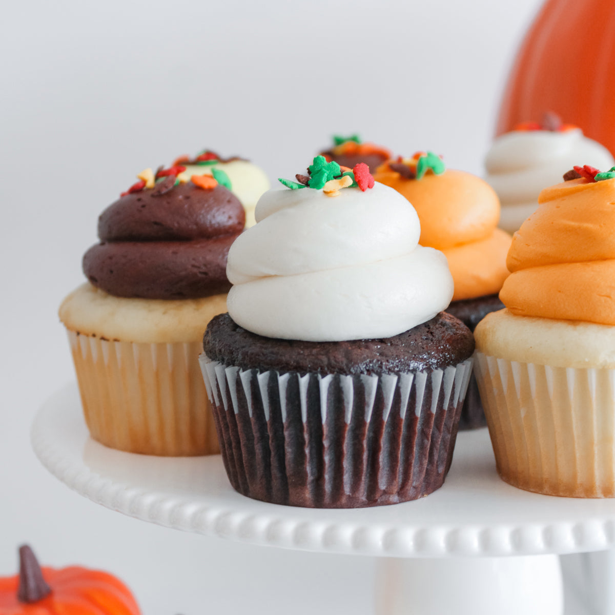 6 Large Fall Chocolate and Vanilla Cupcakes
