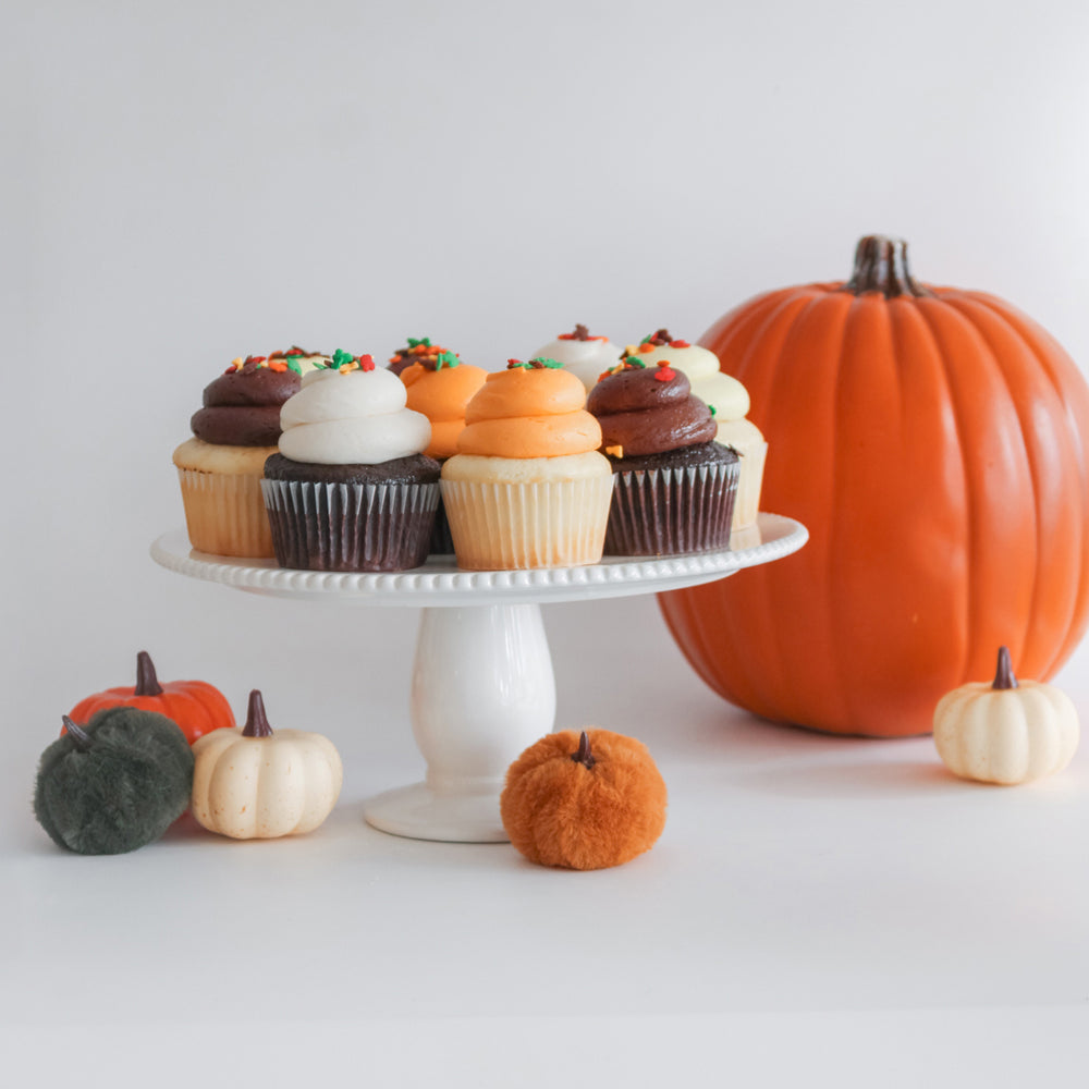 6 Mini Fall Chocolate and Vanilla Cupcakes