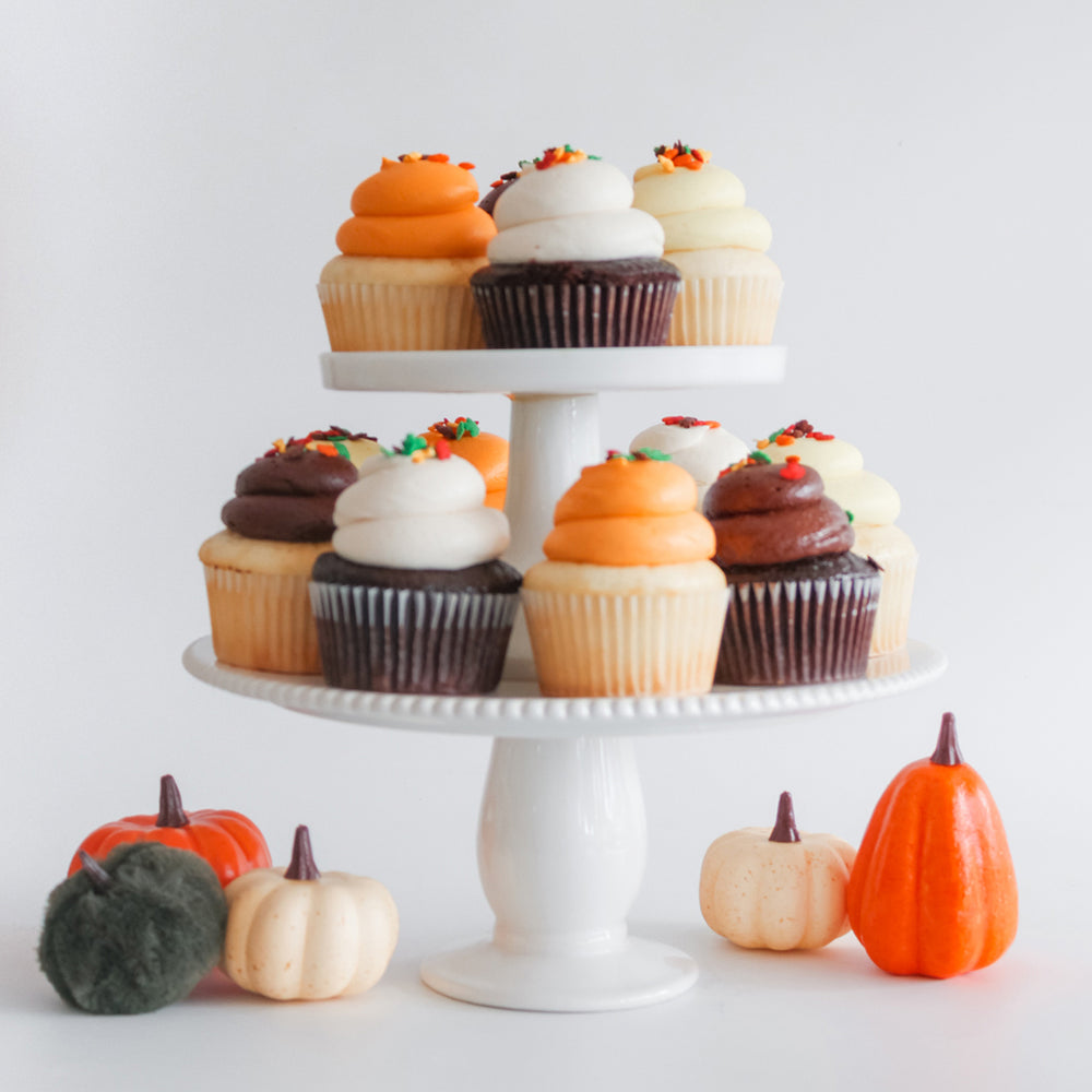 6 Large Fall Chocolate and Vanilla Cupcakes
