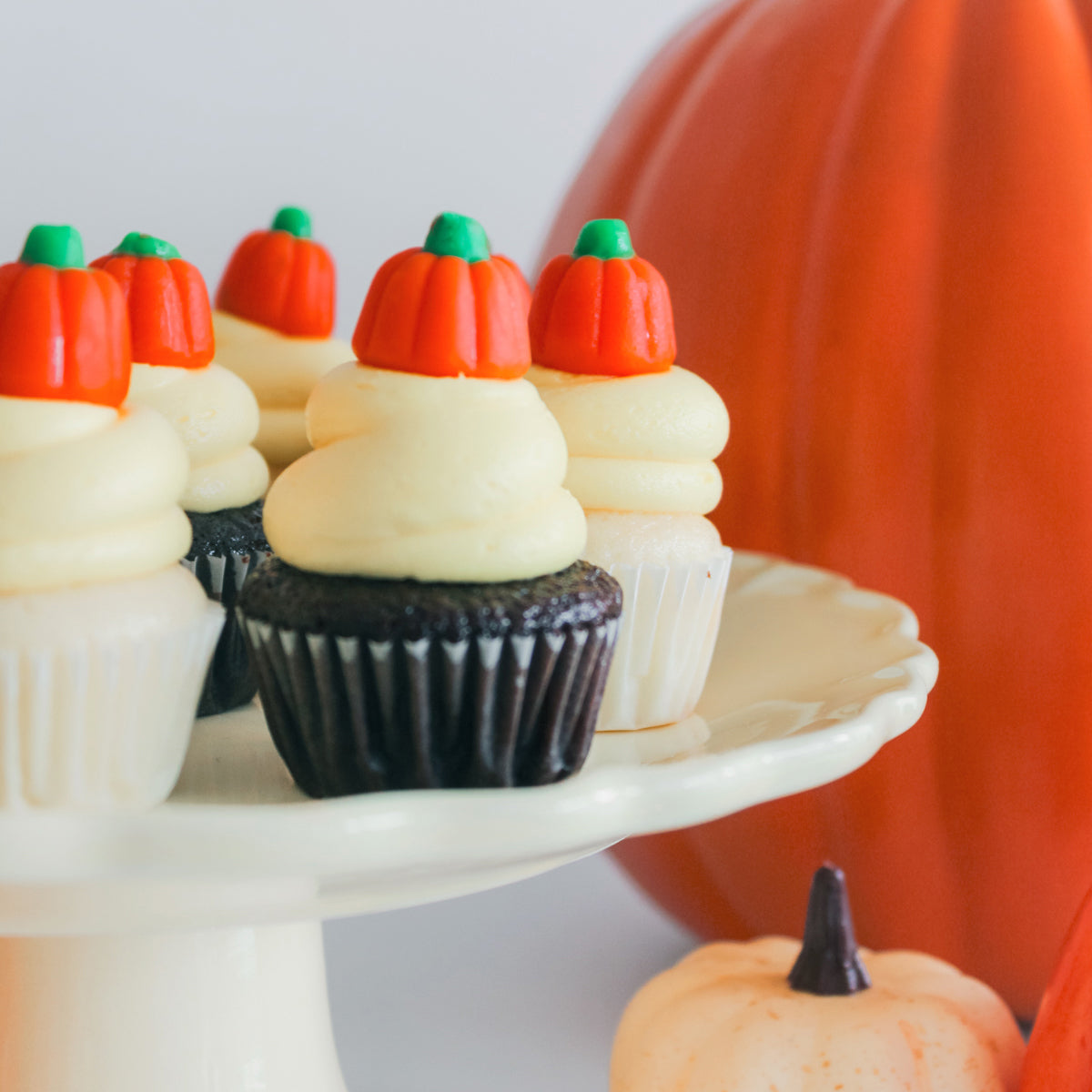 6 Mini Pumpkin Cupcakes